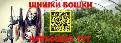 прущие грибы Моздок