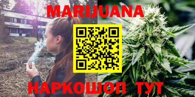 прущие грибы Моздок