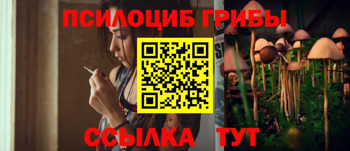 Псилоцибиновые грибы мицелий Ступино